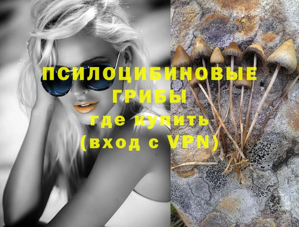 мет Надым