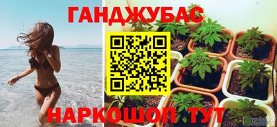 сатива Гусиноозёрск